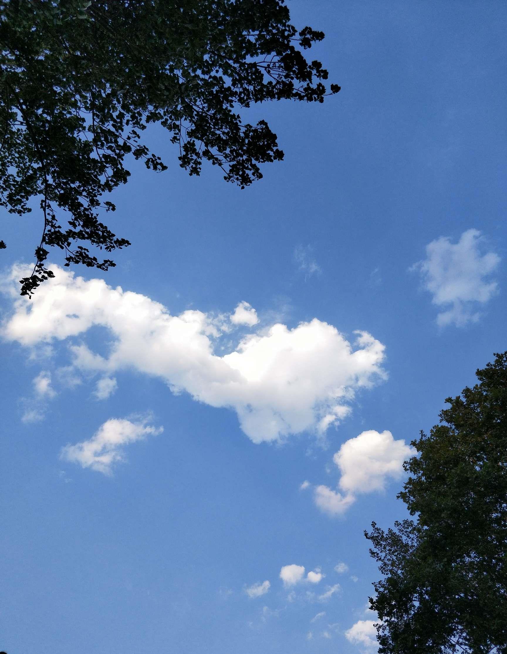 雨過天晴,空氣清新.股市睛雨表,嘻嘻