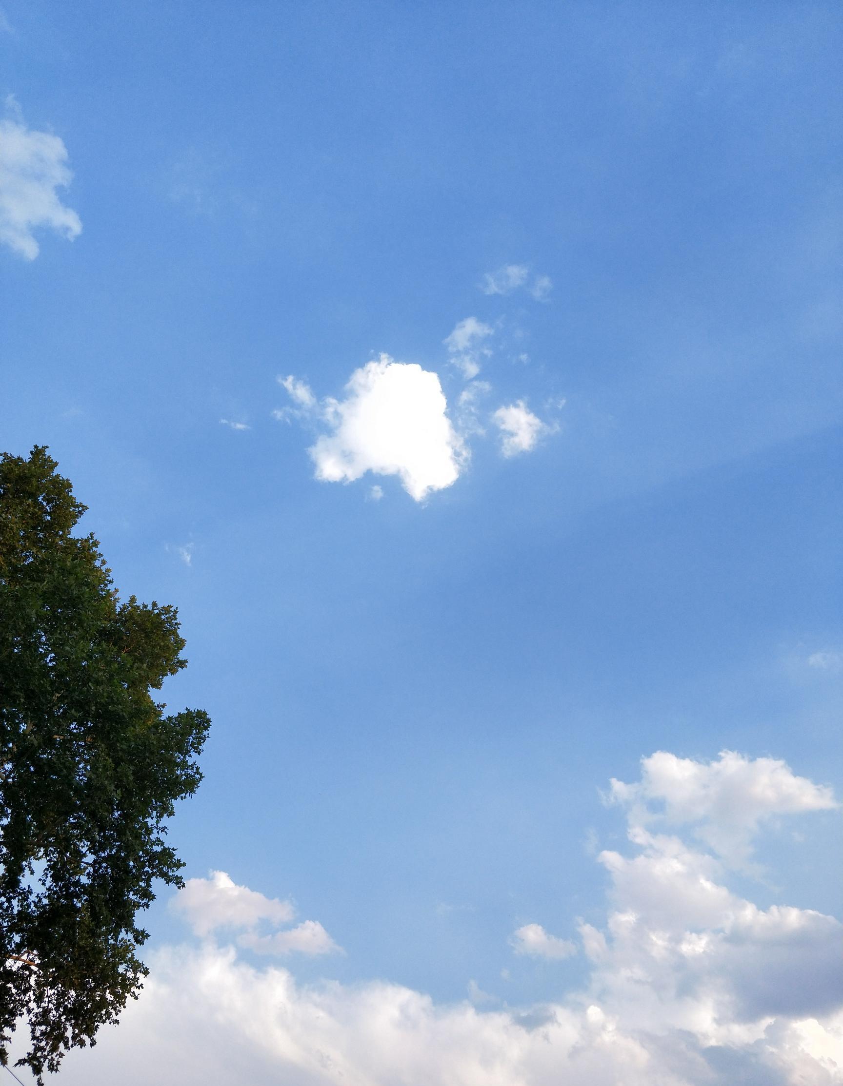 雨過天晴,空氣清新.股市睛雨表,嘻嘻