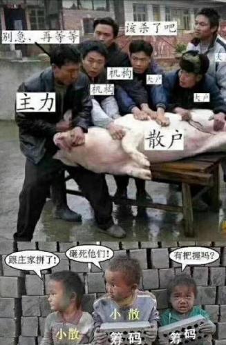 杀猪场老板的短剧人生，杀猪场老板的短剧人生，人生百态的背后故事