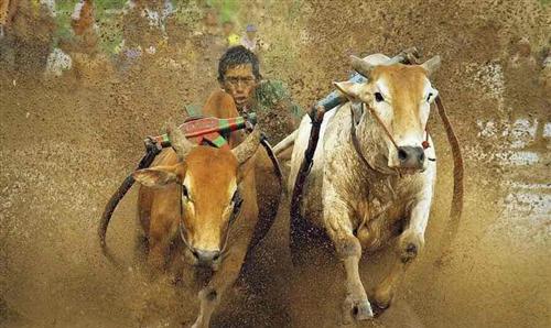 新安股份2018年净利达18亿每股收益达2.6元.目