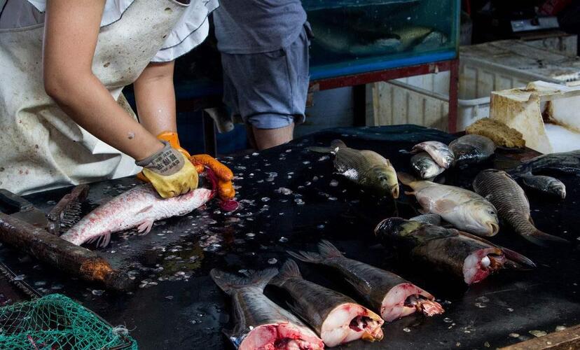 《外运发展:5元的新股》:3个涨停