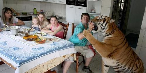 我推荐的信达地产一字涨停板了将全部现金买入