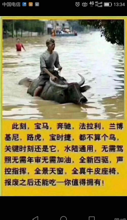 玩股票是不能急的,一开始的时候我就全仓了,买