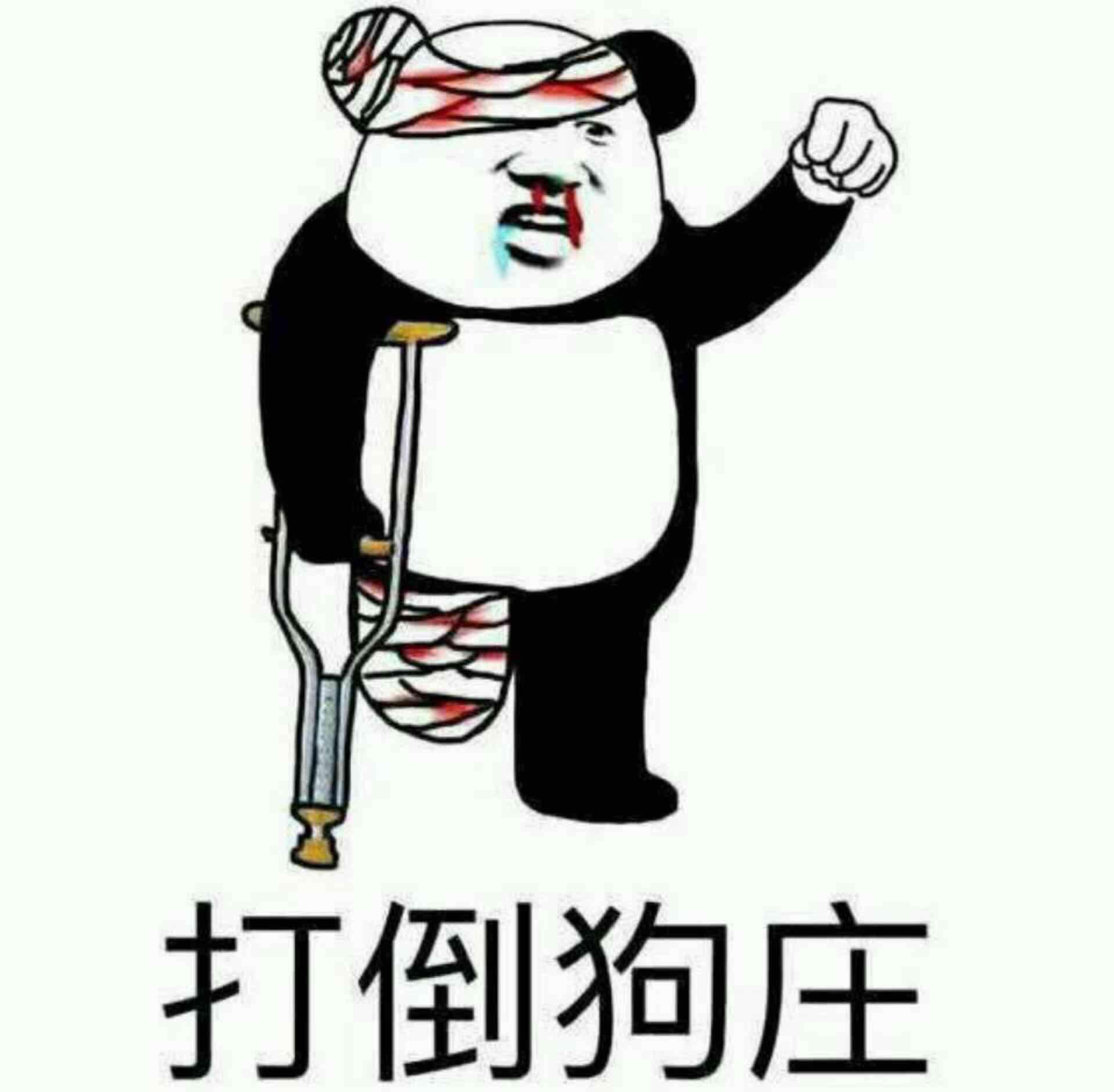 [图片]