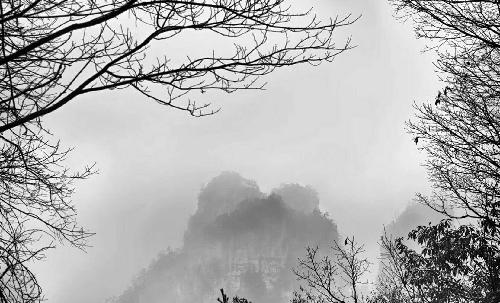 通过低价以股代息郑松兴团伙变相掠夺中小投资