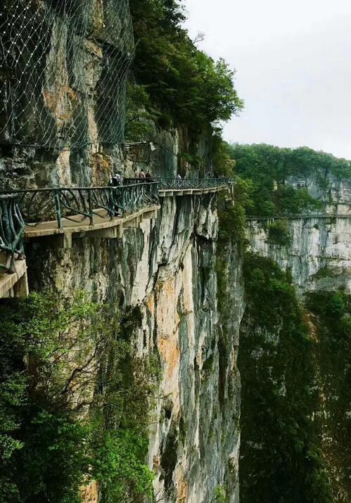 通过低价以股代息郑松兴团伙变相掠夺中小投资