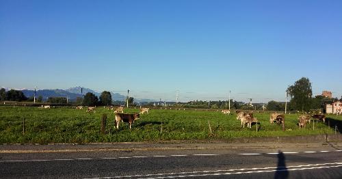 徐明波:我们将努力不让一个贫困家庭因使用立