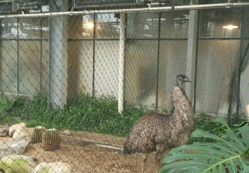 许健康,许华芳太古股份已经回购了,更不要说恒