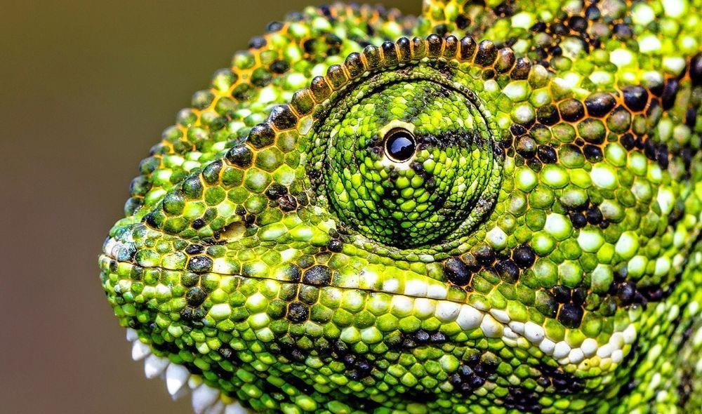 日前,潘爱华方面多名人士向《国际金融报》记者表示