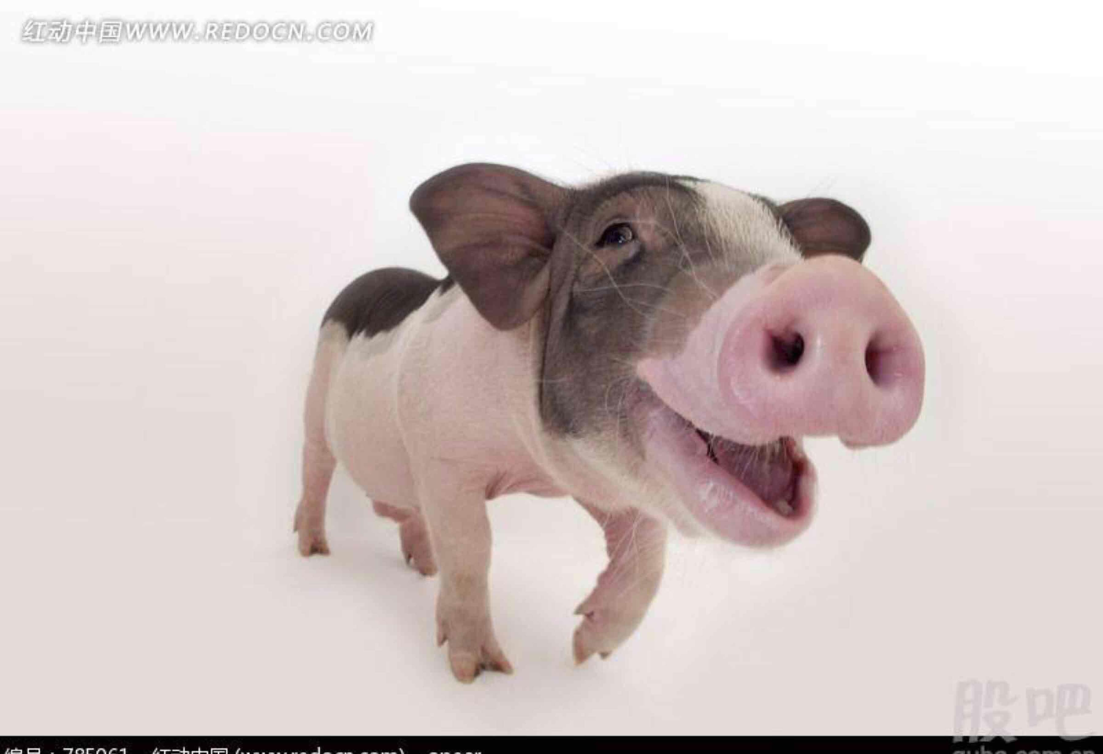 哈哈哈哈哈到8.