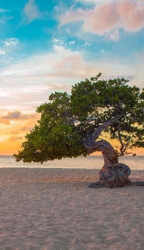 期货猛涨,明天股市金属材料股关注洛阳钼业,白