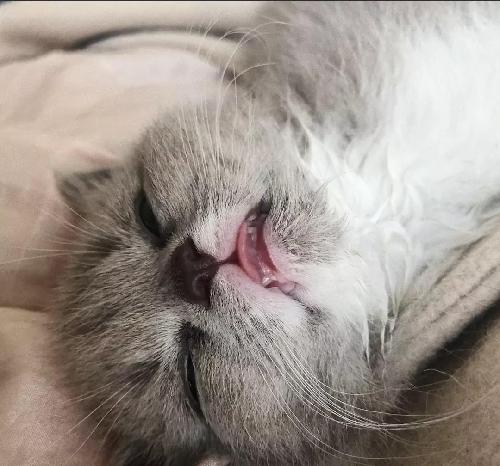 这么低的价格,这么大的成交量,赶上低价股起飞