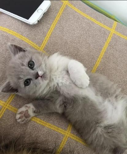 这么低的价格,这么大的成交量,赶上低价股起飞