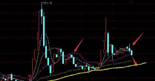 FAE36201BDD1CB98B454EB6ABD41308D.png