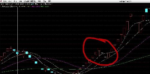 斯太尔 PK 特力A 股灾中逆市500%
