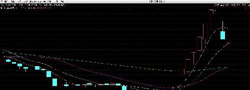 斯太尔 PK 特力A 股灾中逆市500%