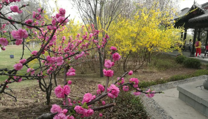 中信建投:预测神马股份2018至2020年EPS2.3