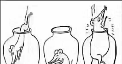 小白兔,白又白 两只耳朵翘起来 割完动脉割静脉