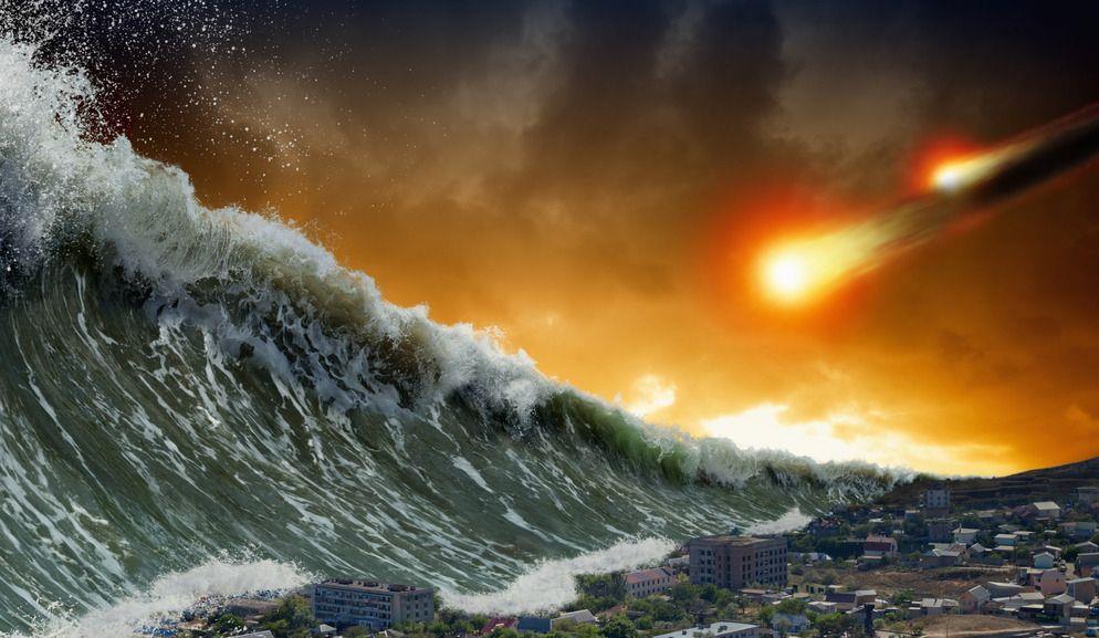 随着惨叫声只见忽忽悠一下栽倒在地它不停翻滚着双手不停死命捶打着