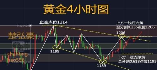 楚弘豪97黄金后市走势分析黄金追涨杀跌后市该如何操作