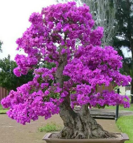 周二北京时间二十三点三十一分,美股各大数据