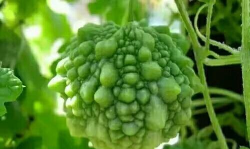 前三季权益类基金业绩不佳 医药主题一枝独秀