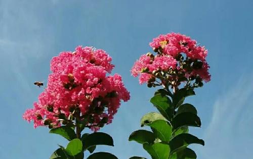 基金分红 第一、什么是基金分红 基金分红是指