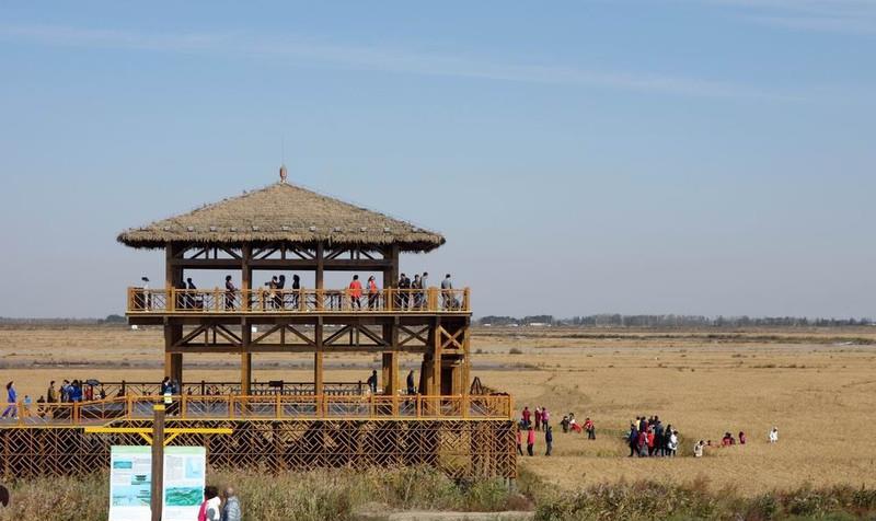 登上"稻梦空间"观景台,可以看到金黄色的稻田与红海滩相呼应的美景.