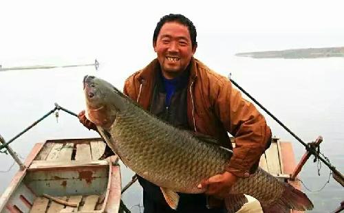 前海开源基金杨德龙:券商股连续拉升预示着大