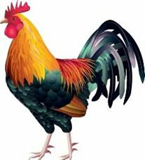 天天基金平台:明日上证收盘预测实时通报!