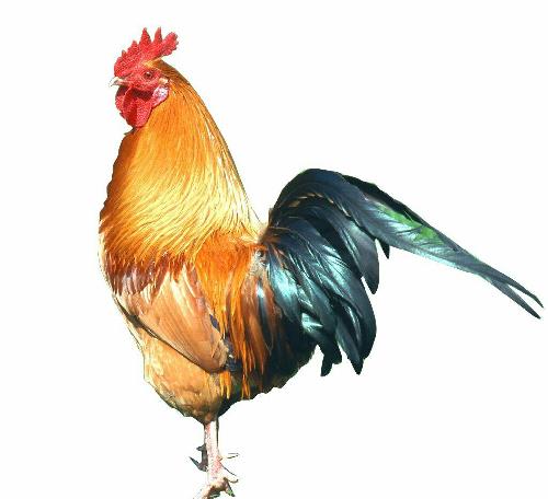 又一底部信号:主动权益基金太难卖了, 大批公募