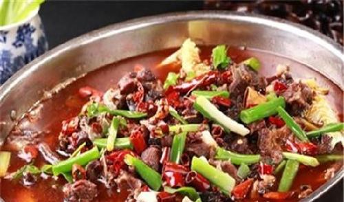 博世科就是这盘五香狗肉虽然看上去很诱人但始终上不了台面