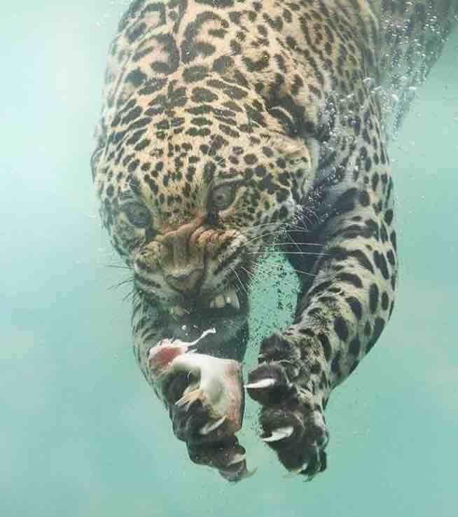 要下手了_中利集团(002309)股吧_东方财富网股吧