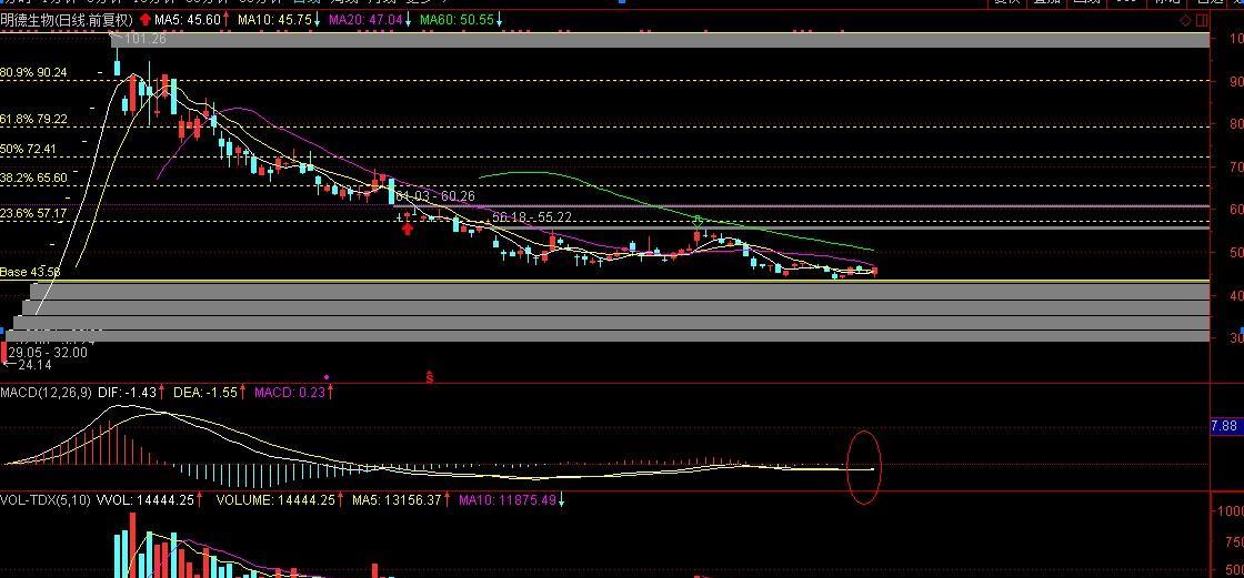 明德生物反弹行情开启