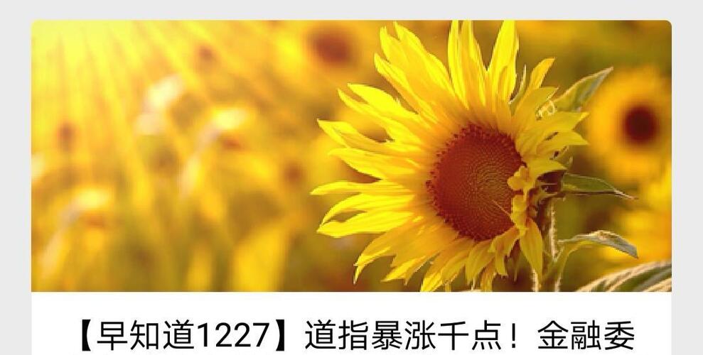 韩国正式开启5G商用!美国信息技术大涨!