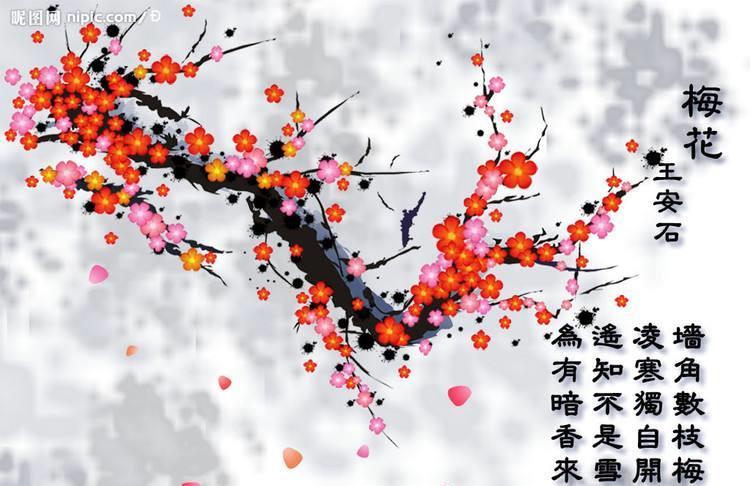 600505 寒冬腊月,梅花开!