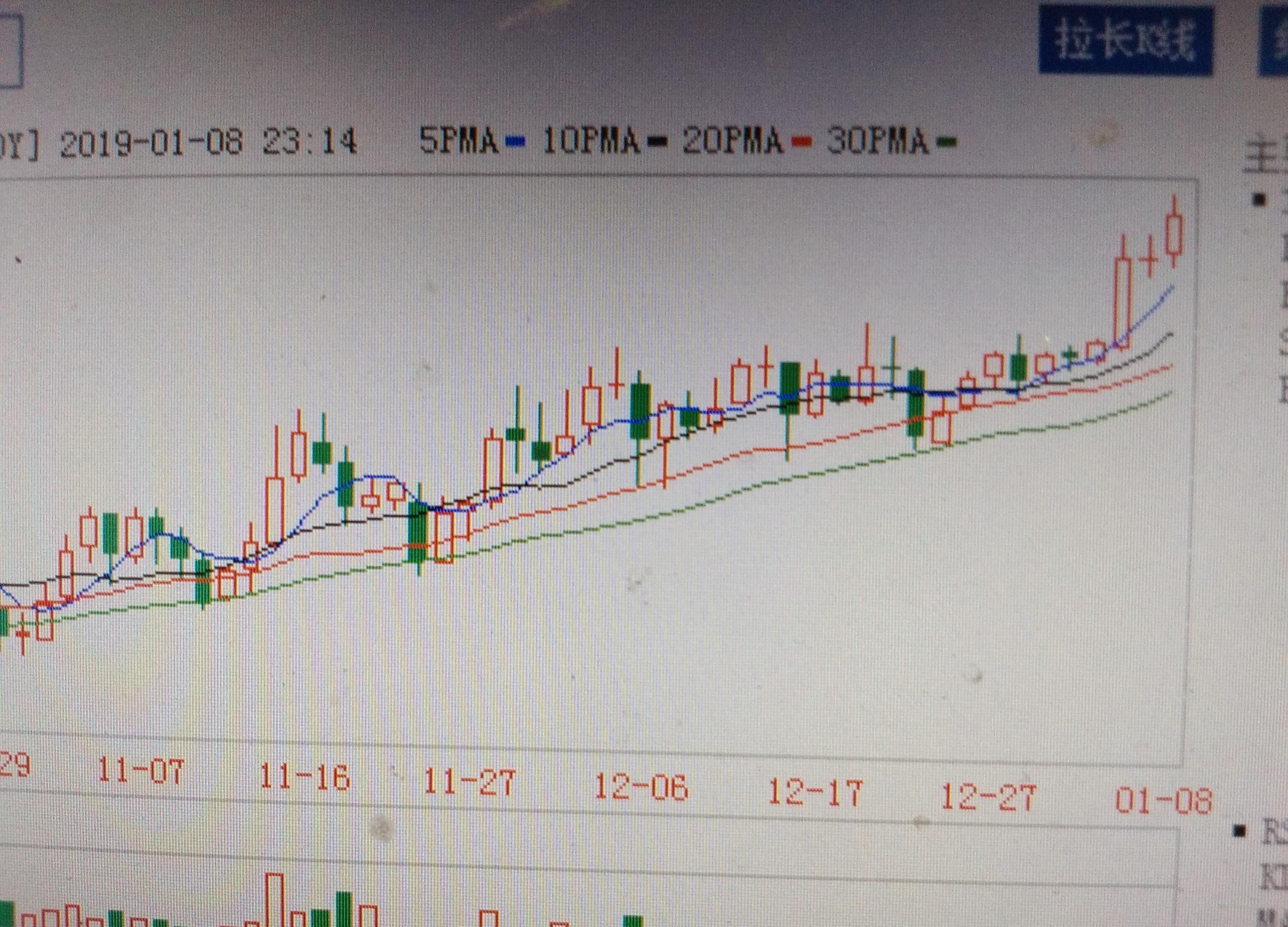 600459股票分析