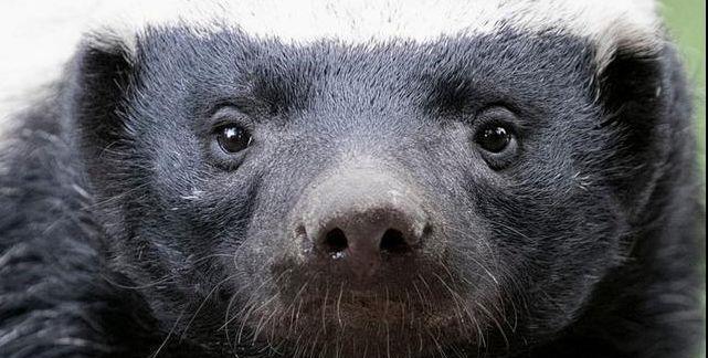 闲话科大讯飞智能办公本