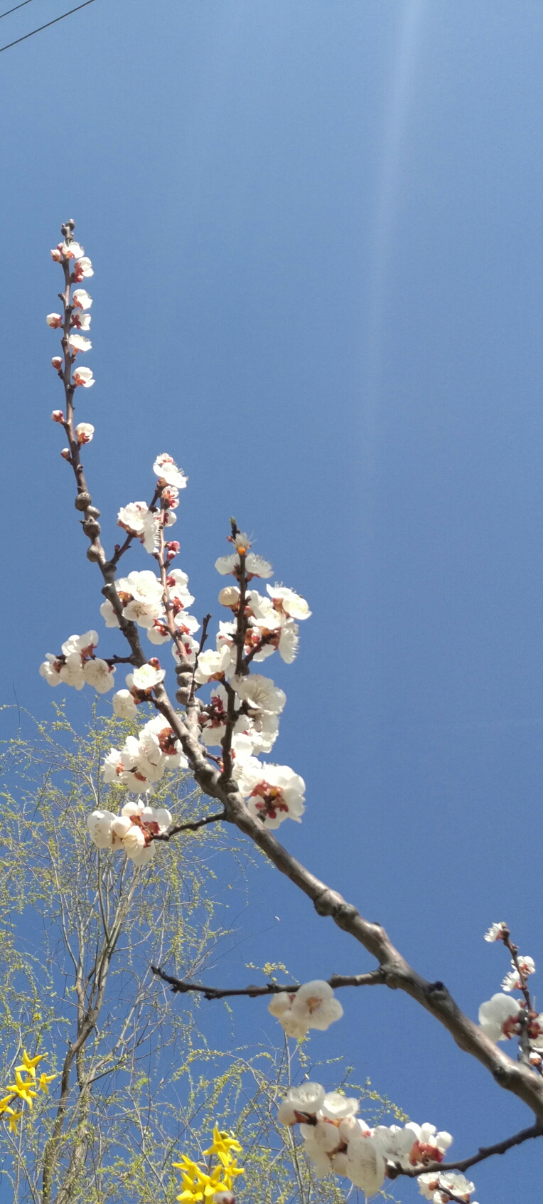 力合科创002243:深圳的微缩科创板,将与上海