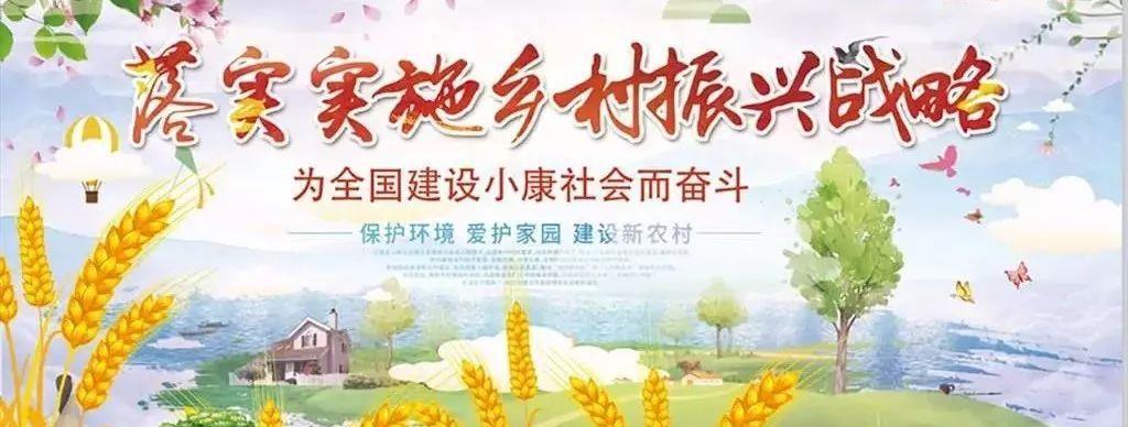 2019年中央一号文件即将发布,乡村振兴背景下坚定,大力补贴农业中长期