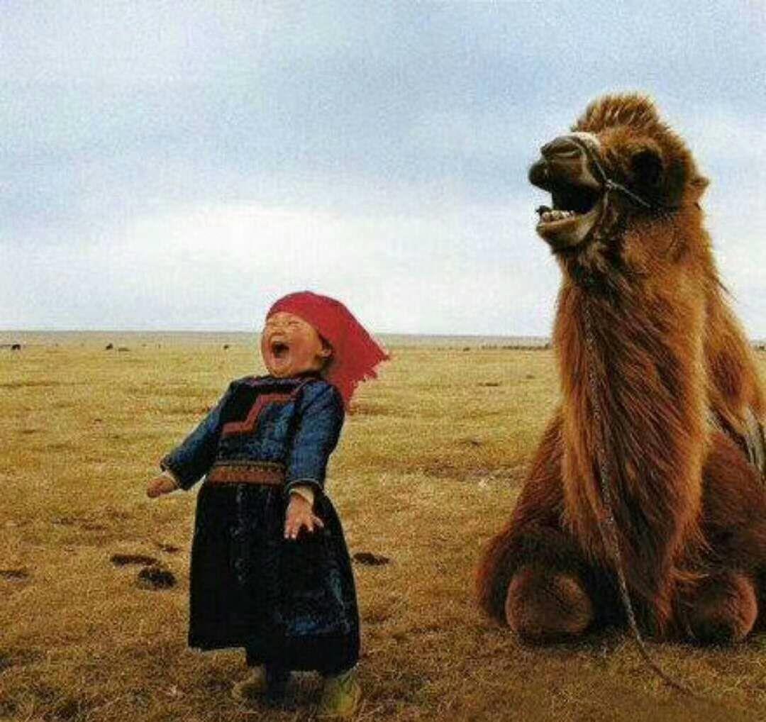 博客吧 正文 今日市场出现跳水动作,原因可能是国际形势错综复杂,全球