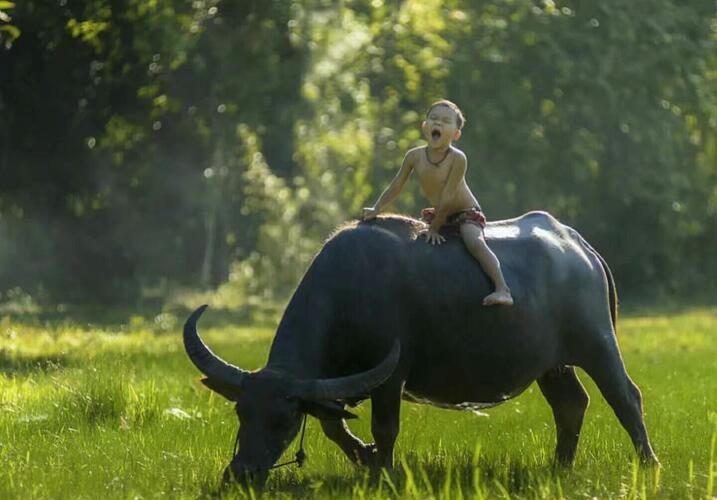 2月11日,央行、银保监会、证监会、财政部、农