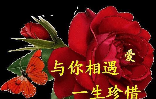 粤港澳大湾区发展规划纲要有望在日内公布,粤