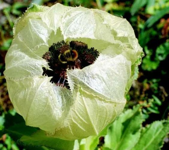 [图片]_盈方微(000670)股吧_东方财富网股吧