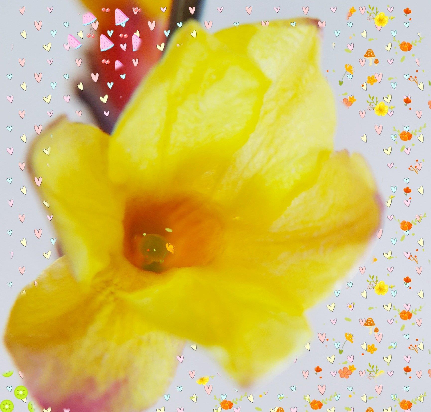 现在很难寻找未来的十倍股。因为大牛股有时并