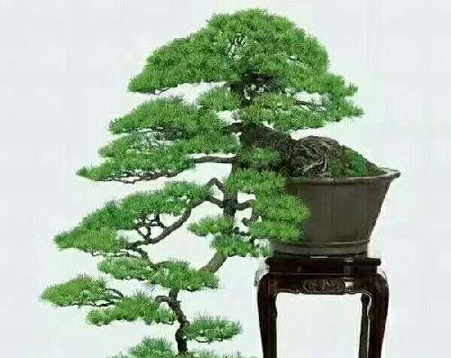 F0201DA3DC2E5DA5AFFA2F23B64F7FB3_w600h553.jpg