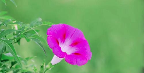 长信基金:中小板估值修复 看好后续投资机会 1