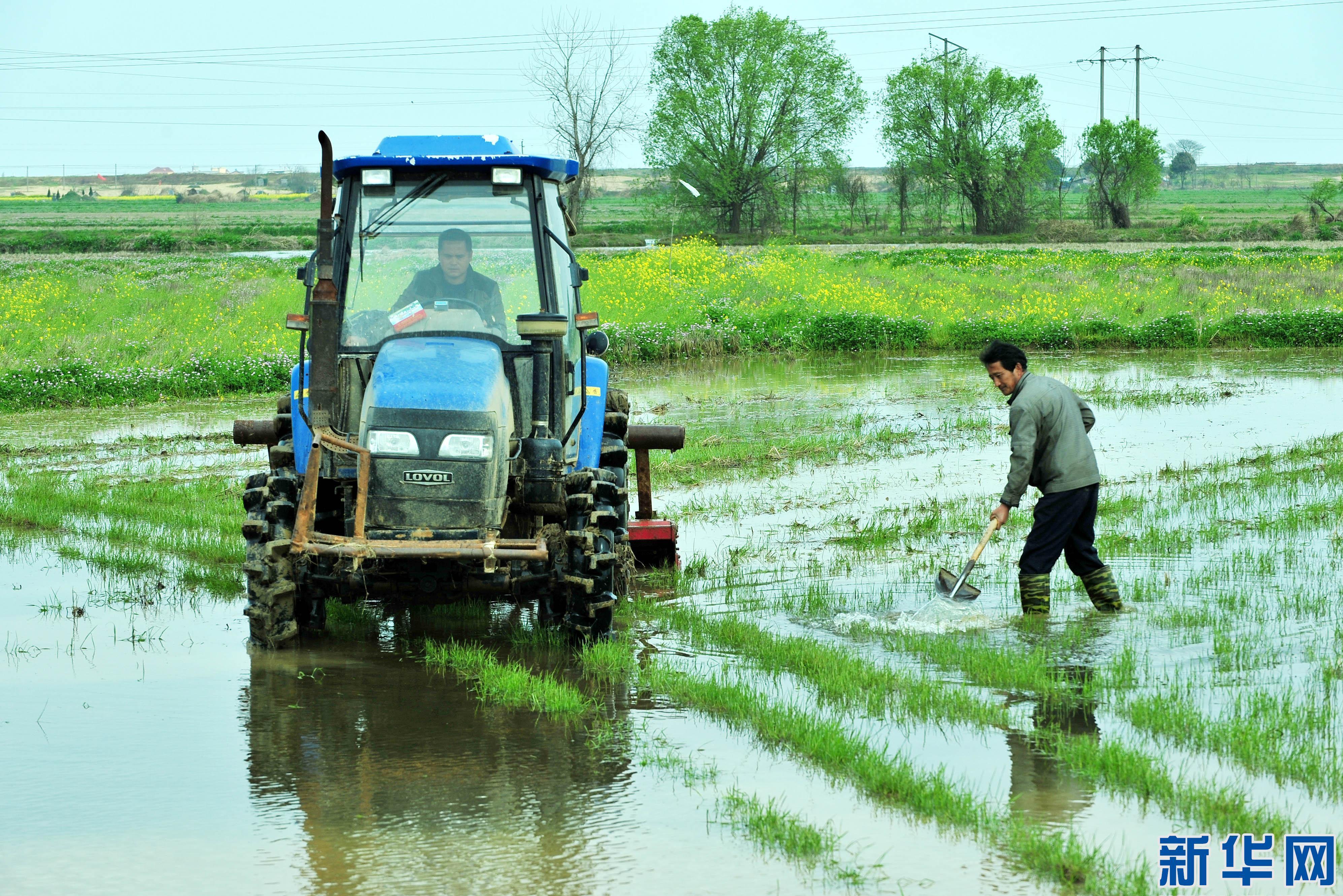 "到了惊蛰,中国大部地区进入春耕大忙
