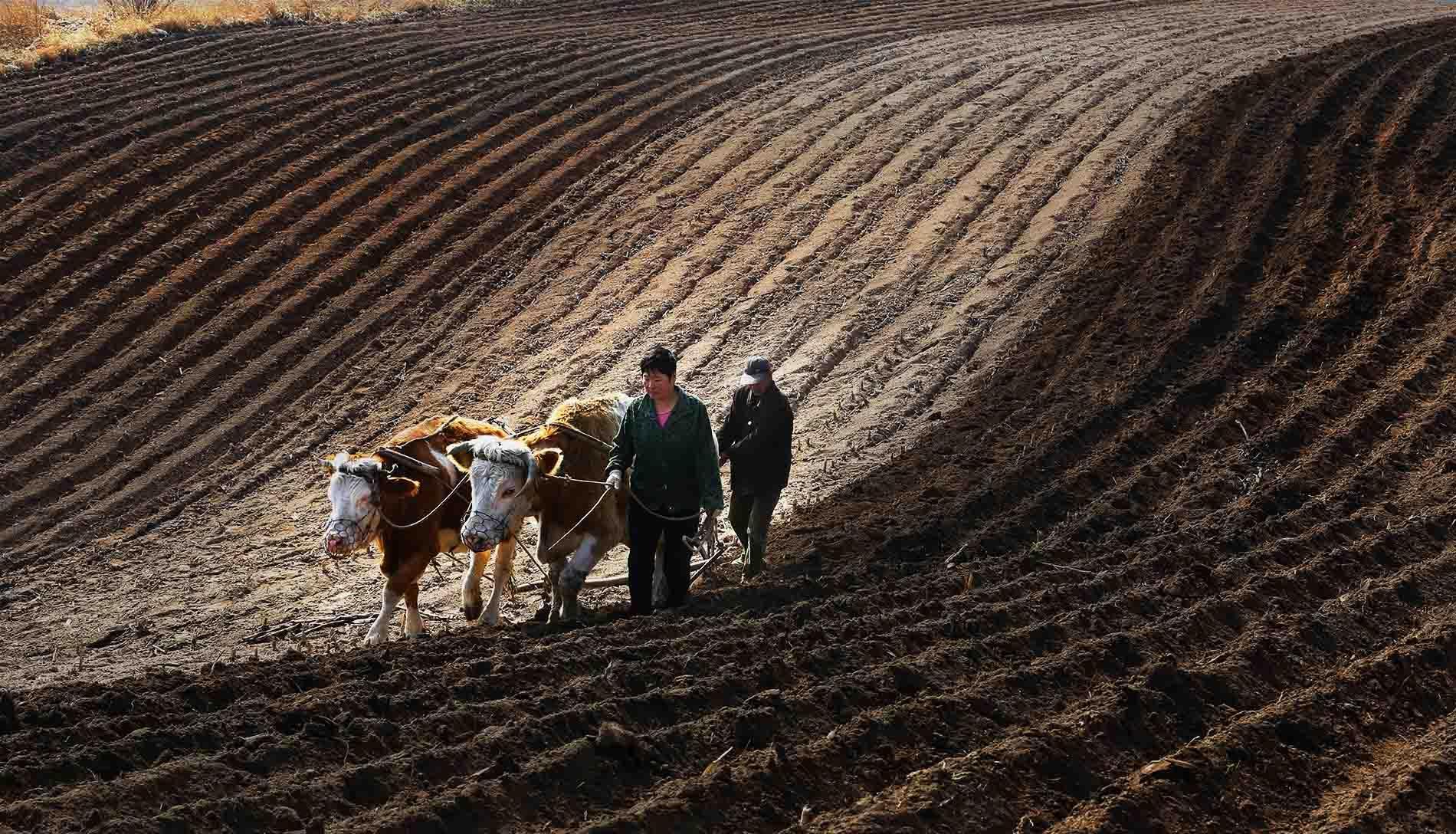 农业的机械化生产