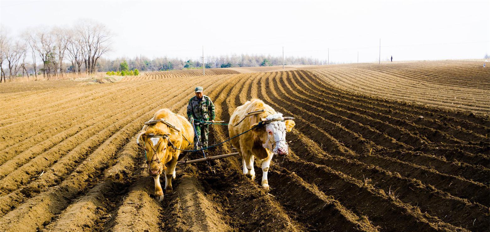 "到了惊蛰,中国大部地区进入春耕大忙